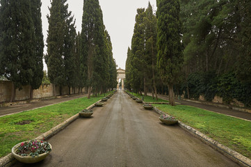 Viale del Cimitero