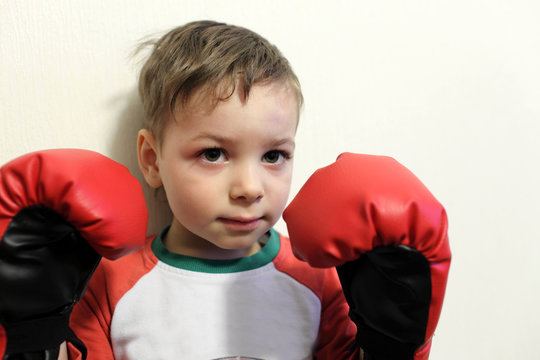 Little boxer