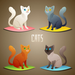 different Cats