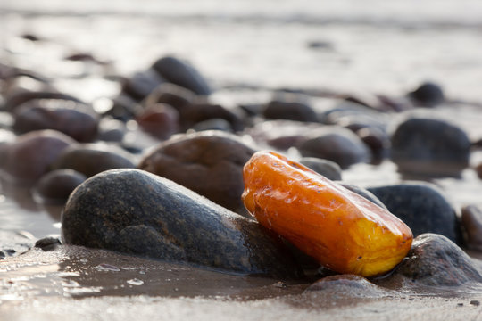 Amber stone on rocky beach. Precious gem, treasure. Baltic Sea