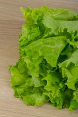 Salad leaves