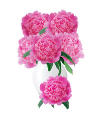 beautiful pink peonies in glass vase with bow isolated on white