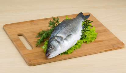 Raw seabass