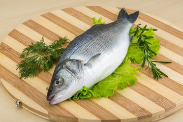 Raw seabass