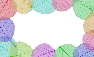Decorative colorful skeleton leaves background