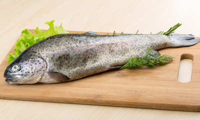 Raw fresh trout