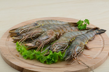 Raw tiger shrimps