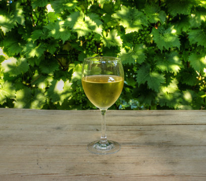 Glass of White Wine with Woodbind in Background