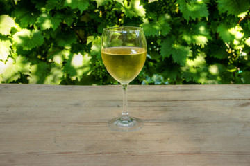 Glass of Vine with Grapevine in Background
