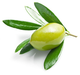 Green olive with leaves on a white background.