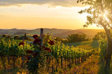 Tuinposter Toscaanse wijngaarden in de herfst © ZoomTeam