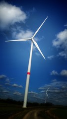 Fototapeta premium Windpark
