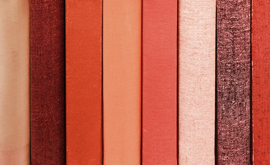 Fototapeta premium Neutral books in bookshelf