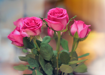 Beautiful bouquet of roses
