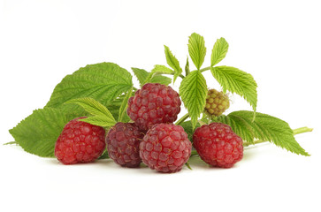 bunch of raspberries isolated on white background