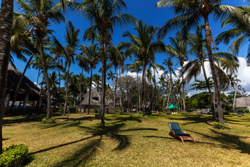 vacation, palm trees, ocean, hotel, holiday,