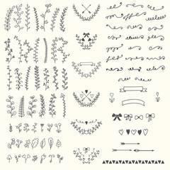 Hand Drawn vintage floral elements. Handsketched vector design e