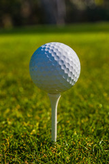 Golf ball sits on a wooden tee