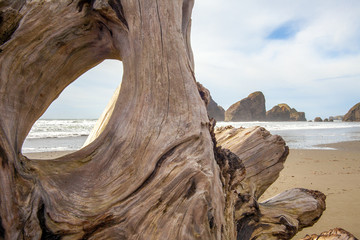 Sea Stacks und Treibholz an der Pazifikküste von Oregon