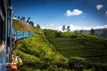 Rolgordijnen trein van Nuwara Eliya naar Kandy tussen theeplantages in de hi © Melinda Nagy