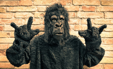 Funny fake gorilla with rock and roll hand gesture