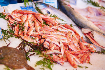 Fresh red mullet for sale on fish market