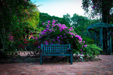 Naklejka premium Park bench