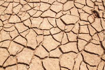 cracked earth.