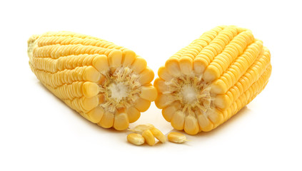 fresh of corn isolated on white background