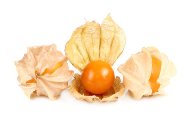 Physalis fruit, Cape berry fruit isolated on white