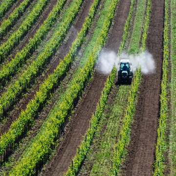 Pestizide spruehen im Weingarten