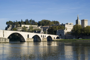 The Pont d'Avignon on the Petit Rhone