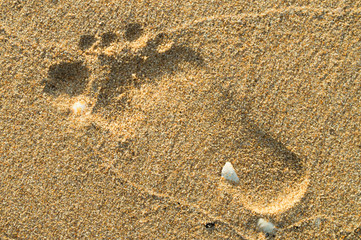 Footprints