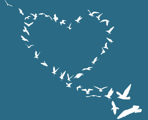 heart from gull silhouettes isolated on blue