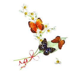 branch of flowers and butterflies isolated on a white background