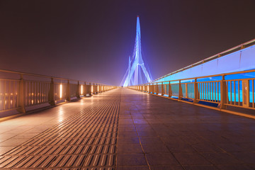 Fototapeta na wymiar modern bridge at night
