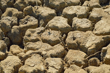 cracked on dry ground
