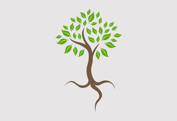 Tree logo vector