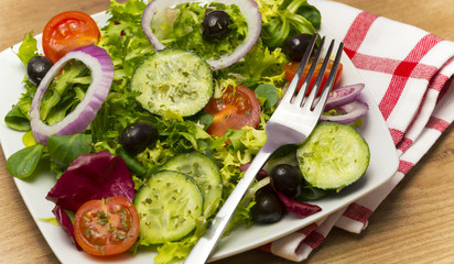 Almuerzo vegetal