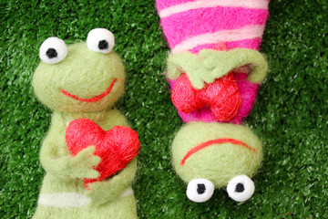 zwei verliebte Frösche auf eine Wiese