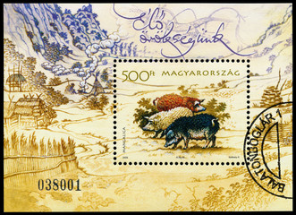 Stamp printed in Hungary shows pigs