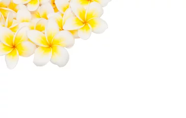 Papier Peint photo autocollant Frangipanier Fleur de Plumeria isolé sur fond blanc