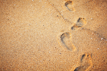 Fototapeta na wymiar footprints in the sand by the sea
