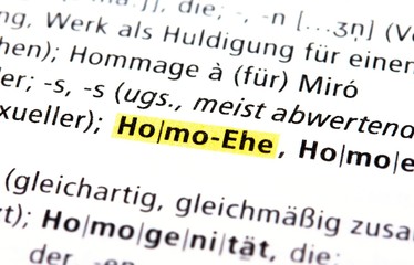 Homoehe - Konzept