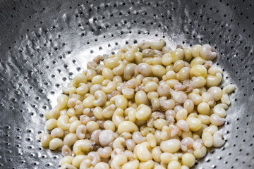 subterranean ant egg on iron plate  in the market at Chiang Mai