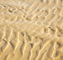dune morocco in africa brown coastline wet sand beach near atlan