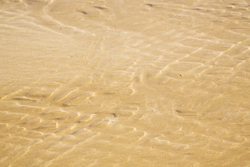 dun  in africa brown coastline wet sand beach