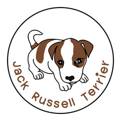 Jack Russell Terrier
