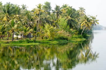 Fototapeta na wymiar River on the backwaters the way from Kollam to Alleppey