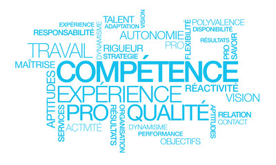 Obraz premium Compétence expérience professionnelle emploi nuage de mots